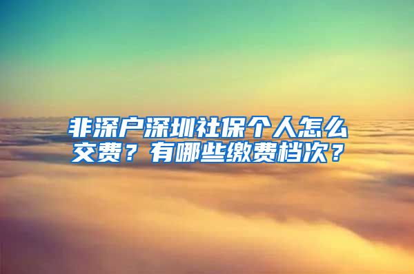 非深户深圳社保个人怎么交费？有哪些缴费档次？