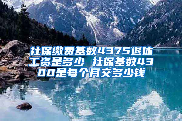 社保缴费基数4375退休工资是多少 社保基数4300是每个月交多少钱