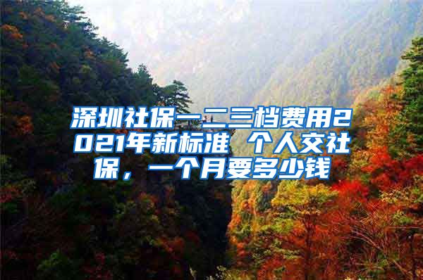 深圳社保一二三档费用2021年新标准 个人交社保，一个月要多少钱