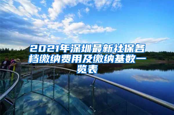 2021年深圳最新社保各档缴纳费用及缴纳基数一览表