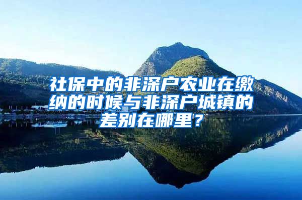 社保中的非深户农业在缴纳的时候与非深户城镇的差别在哪里？