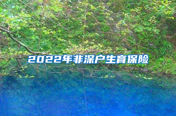 2022年非深户生育保险