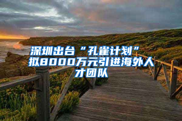 深圳出台“孔雀计划” 拟8000万元引进海外人才团队