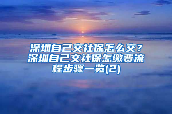 深圳自己交社保怎么交？深圳自己交社保怎缴费流程步骤一览(2)