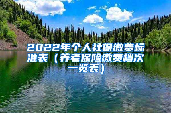 2022年个人社保缴费标准表（养老保险缴费档次一览表）