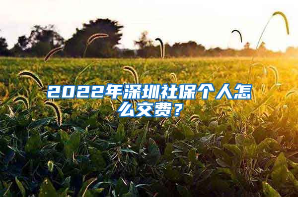 2022年深圳社保个人怎么交费？