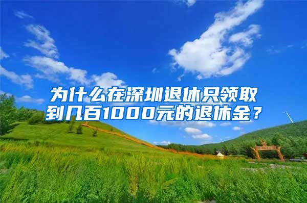 为什么在深圳退休只领取到几百1000元的退休金？