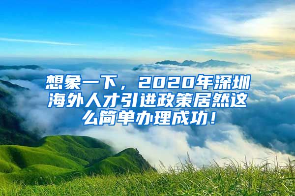 想象一下，2020年深圳海外人才引进政策居然这么简单办理成功！