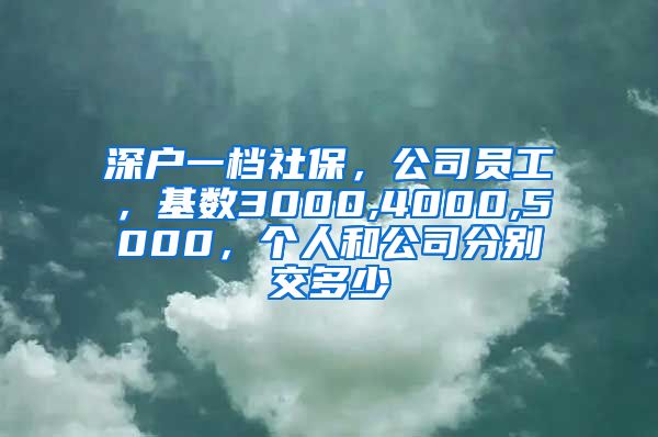 深户一档社保，公司员工，基数3000,4000,5000，个人和公司分别交多少