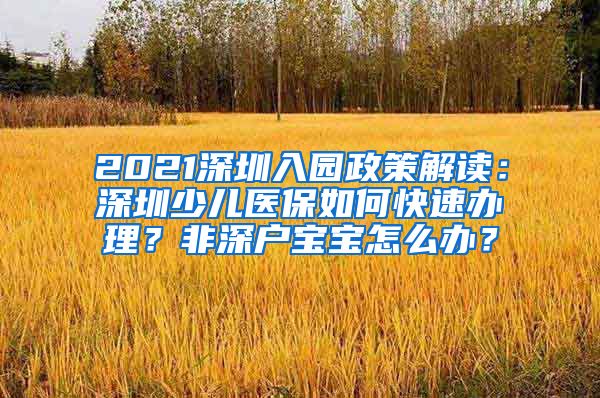 2021深圳入园政策解读：深圳少儿医保如何快速办理？非深户宝宝怎么办？