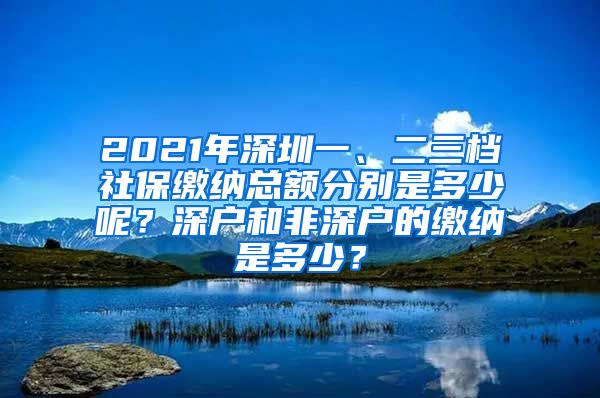 2021年深圳一、二三档社保缴纳总额分别是多少呢？深户和非深户的缴纳是多少？