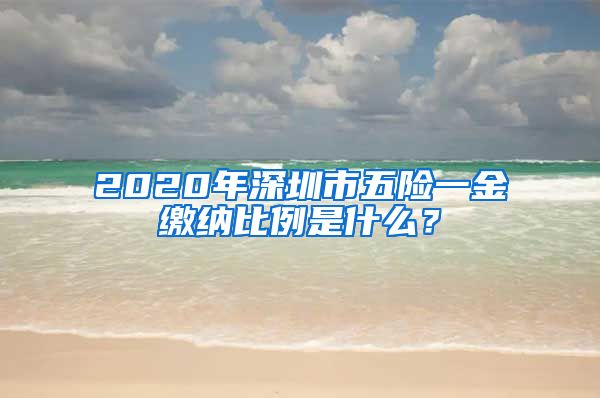 2020年深圳市五险一金缴纳比例是什么？