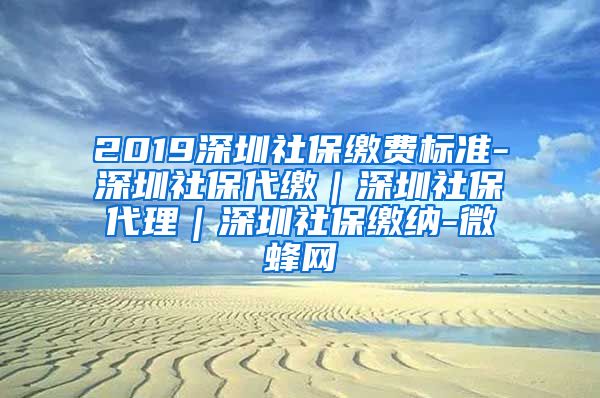 2019深圳社保缴费标准-深圳社保代缴｜深圳社保代理｜深圳社保缴纳-微蜂网