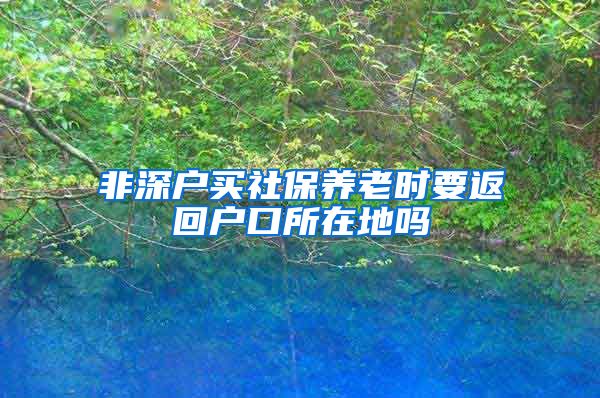 非深户买社保养老时要返回户口所在地吗