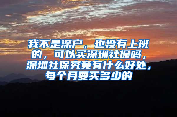 我不是深户，也没有上班的，可以买深圳社保吗，深圳社保究竟有什么好处，每个月要买多少的