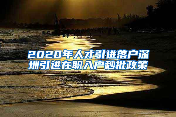 2020年人才引进落户深圳引进在职入户秒批政策