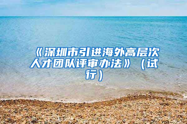 《深圳市引进海外高层次人才团队评审办法》（试行）