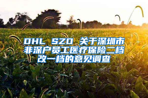 DHL SZO 关于深圳市非深户员工医疗保险二档改一档的意见调查