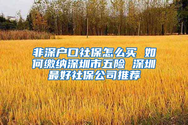 非深户口社保怎么买 如何缴纳深圳市五险 深圳最好社保公司推荐