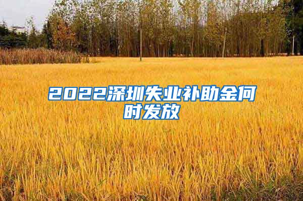 2022深圳失业补助金何时发放