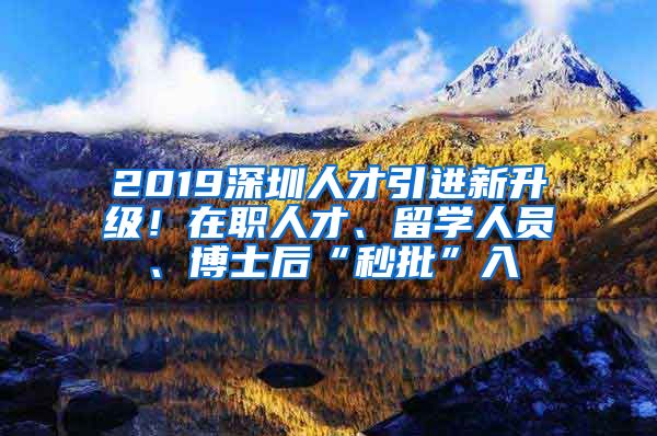 2019深圳人才引进新升级！在职人才、留学人员、博士后“秒批”入