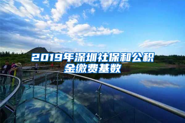 2019年深圳社保和公积金缴费基数