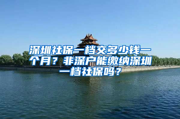 深圳社保一档交多少钱一个月？非深户能缴纳深圳一档社保吗？