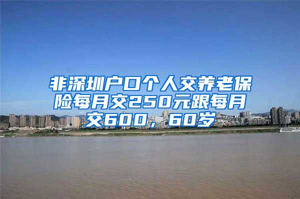 非深圳户口个人交养老保险每月交250元跟每月交600，60岁