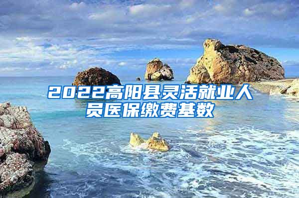 2022高阳县灵活就业人员医保缴费基数