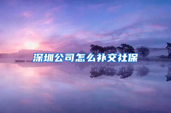 深圳公司怎么补交社保