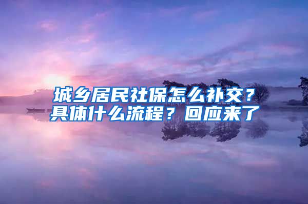 城乡居民社保怎么补交？具体什么流程？回应来了