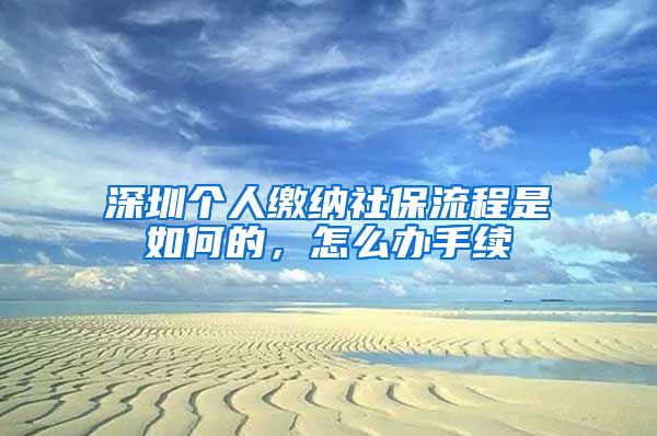 深圳个人缴纳社保流程是如何的，怎么办手续