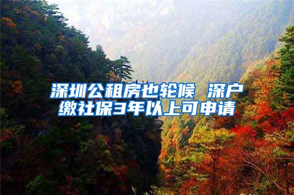 深圳公租房也轮候 深户缴社保3年以上可申请