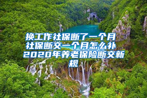 换工作社保断了一个月 社保断交一个月怎么补 2020年养老保险断交新规