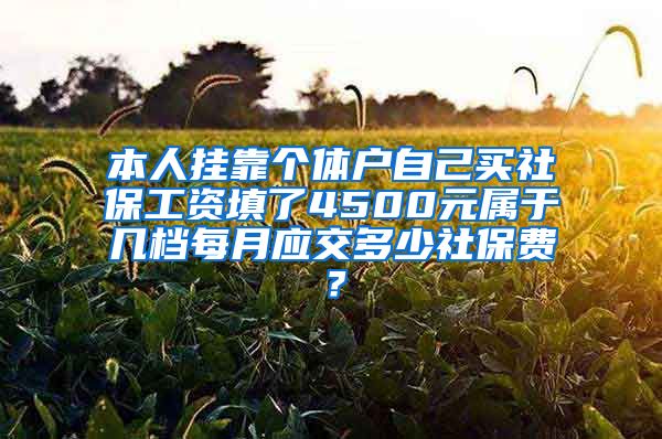 本人挂靠个体户自己买社保工资填了4500元属于几档每月应交多少社保费？