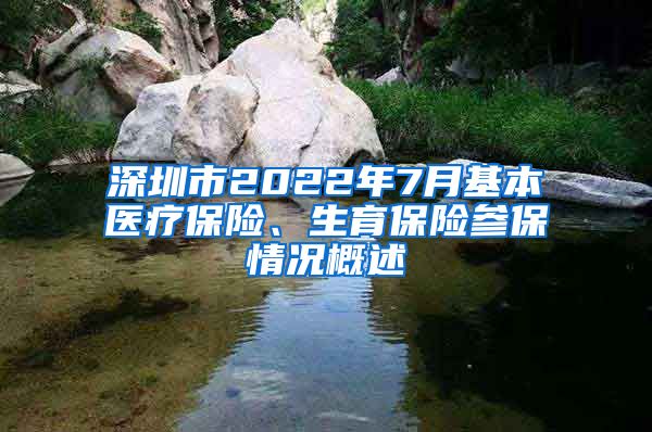 深圳市2022年7月基本医疗保险、生育保险参保情况概述