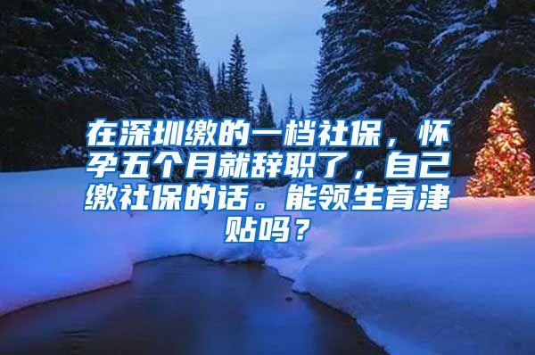 在深圳缴的一档社保，怀孕五个月就辞职了，自己缴社保的话。能领生育津贴吗？