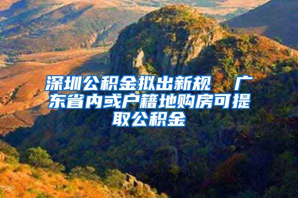 深圳公积金拟出新规  广东省内或户籍地购房可提取公积金