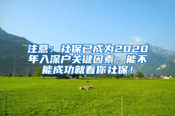 注意：社保已成为2020年入深户关键因素，能不能成功就看你社保！