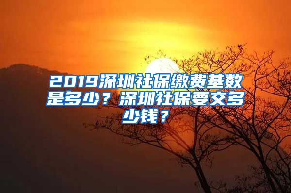 2019深圳社保缴费基数是多少？深圳社保要交多少钱？