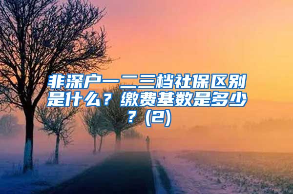 非深户一二三档社保区别是什么？缴费基数是多少？(2)