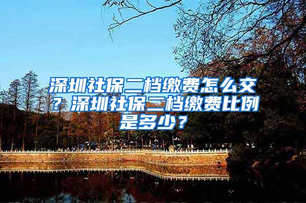 深圳社保二档缴费怎么交？深圳社保二档缴费比例是多少？