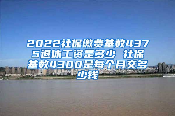 2022社保缴费基数4375退休工资是多少 社保基数4300是每个月交多少钱