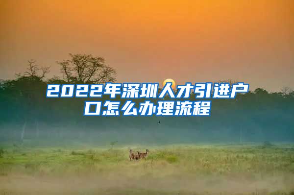 2022年深圳人才引进户口怎么办理流程