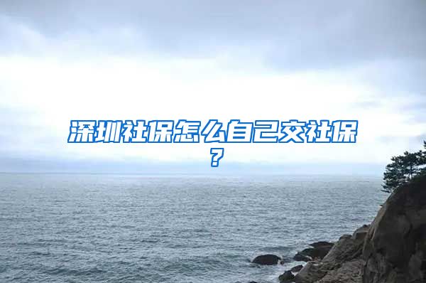 深圳社保怎么自己交社保？