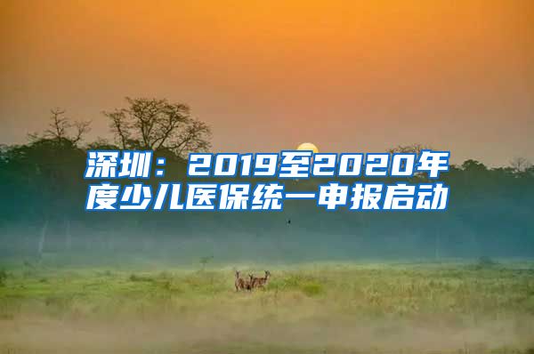 深圳：2019至2020年度少儿医保统一申报启动