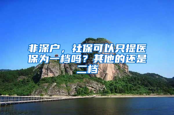 非深户，社保可以只提医保为一档吗？其他的还是二档