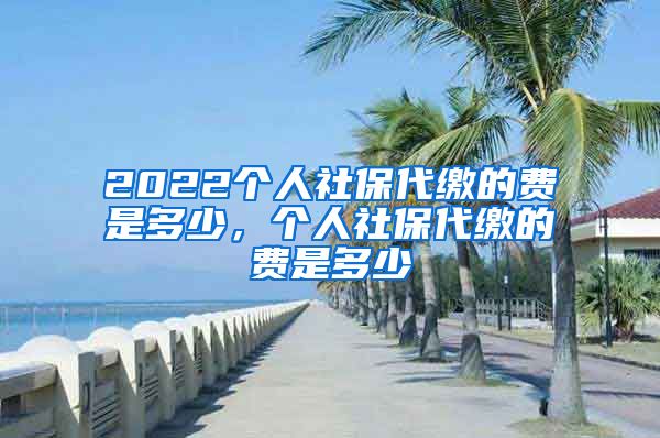 2022个人社保代缴的费是多少，个人社保代缴的费是多少