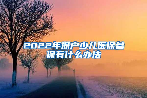 2022年深户少儿医保参保有什么办法