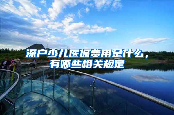 深户少儿医保费用是什么，有哪些相关规定